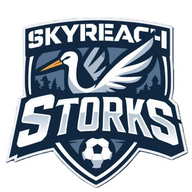Skyreach Storks