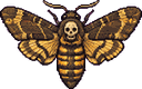Death's-Head Hawkmoth