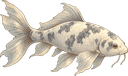 Fog Koi