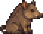 Wild boar